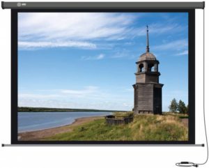 Проекционный экран CACTUS Professional Motoscreen 4:3 [Professional Motoscreen 244x183]
