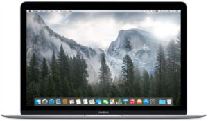 Ноутбук Apple MacBook 12" (2017) [Z0U00002W]